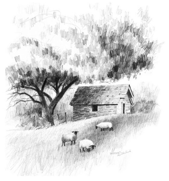ảnh vẽ bút chì đồi cỏ và những con cừu