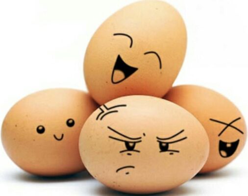 Hình ảnh avatar những quả trứng dễ thương, ngộ nghĩnh