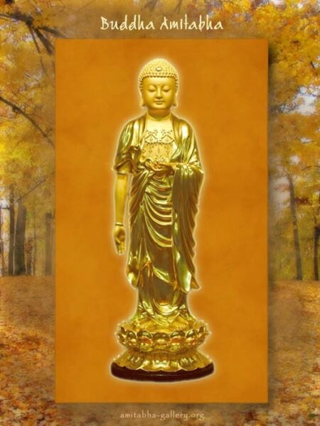 Hình ảnh Phật A Di Đà đẹp nhất (6)