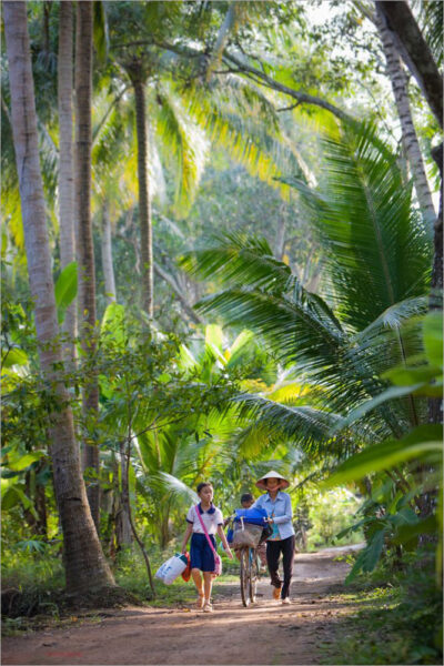 hình ảnh quê hương buổi sáng đi học qua rừng dừa