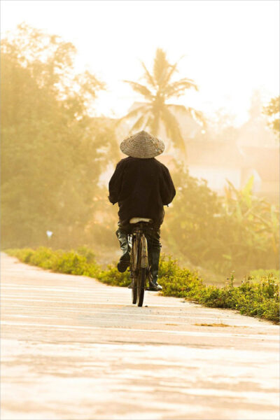 hình ảnh quê hương người nông dân đi xe đạp trên đường quê