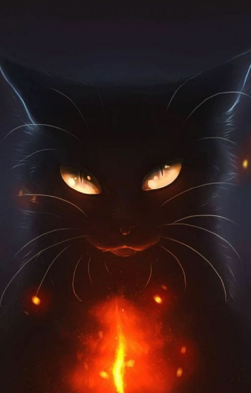 Hình nền Chân Mèo đen kịt Trắng đơn Giản Dễ Thương Vẽ Tay Nền Chân Mèo Đen Và  Trắng đơn Giản Background Vector nhằm chuyển vận xuống không tính phí  Pngtree