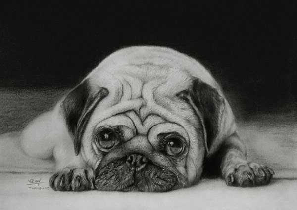 tranh vẽ con chó dễ thương bằng bút chì