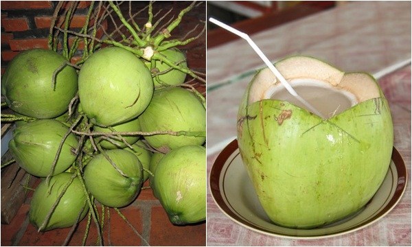 Khám phá ý nghĩa giấc mơ thấy cây dừa, CÂY DỪA CHỨA