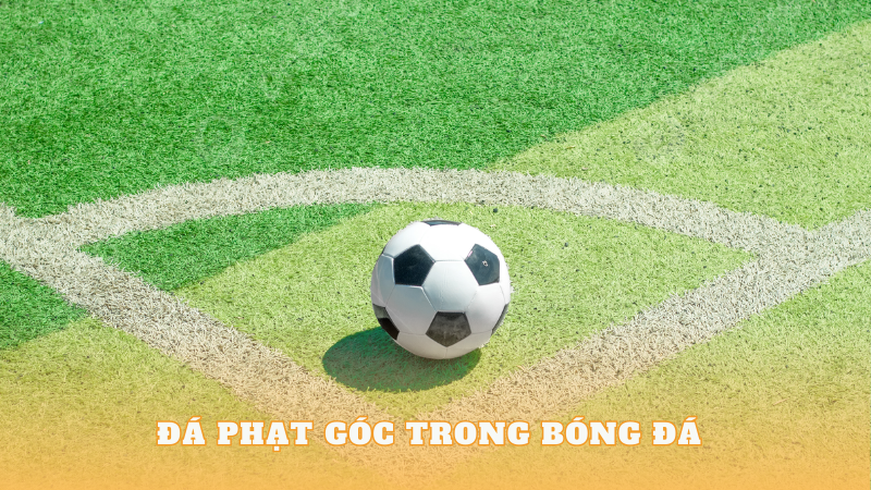 Đá Phạt Góc - Bí Quyết Và Chiến Thuật Trên Sân Cỏ - Bóng Đá 2024 ONLINE